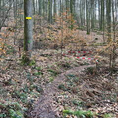 24-02-29 10-27-40 8822